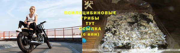трава Аркадак