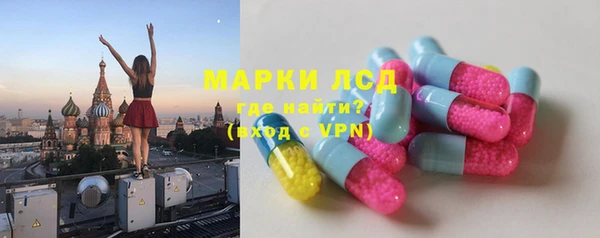 трава Аркадак