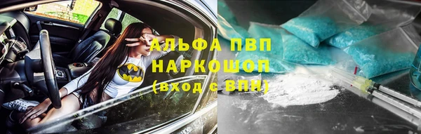 трава Аркадак