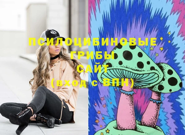 трава Аркадак